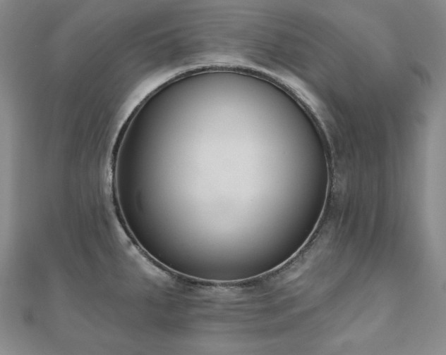 X0000110861287200906181134