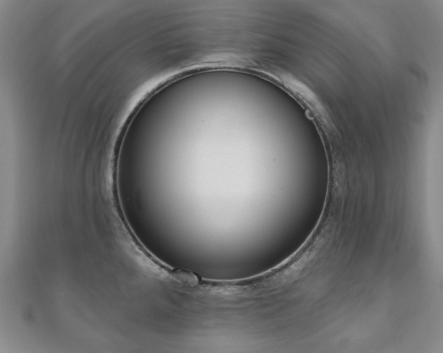X0000110861288200906181134