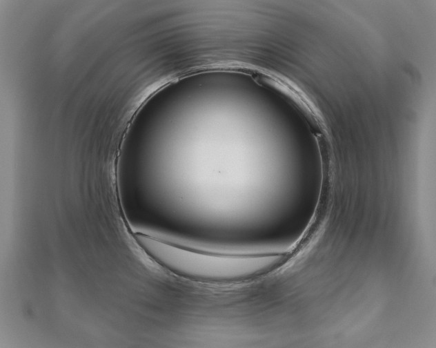 X0000110861289200906181134