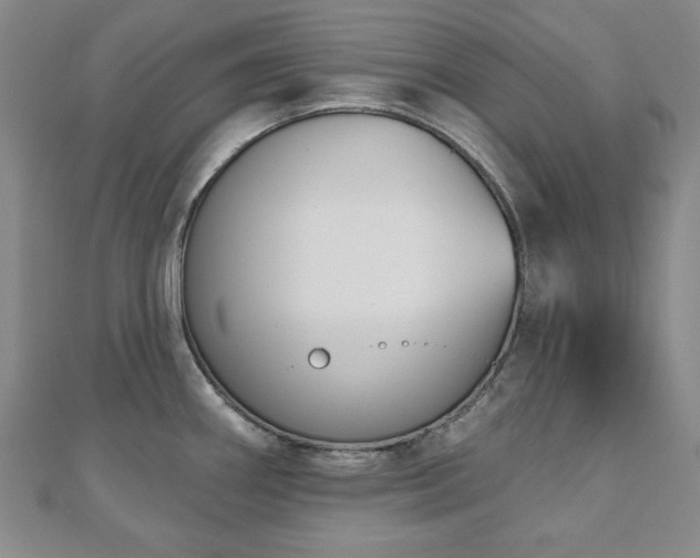 X0000110861290200906181134