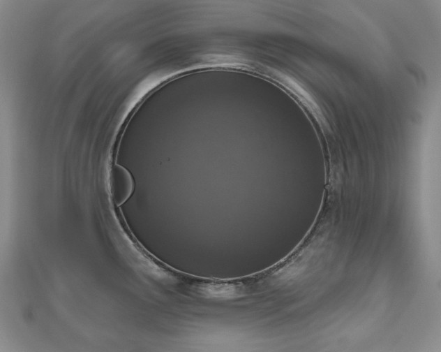 X0000110861291200906181134