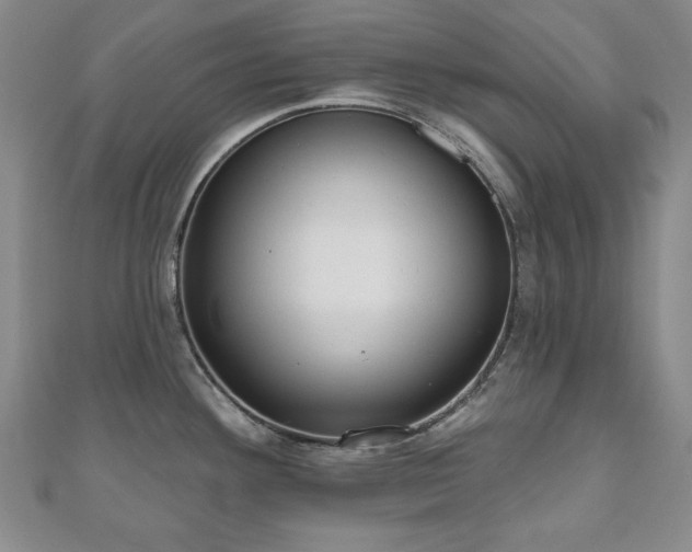 X0000110861292200906181134