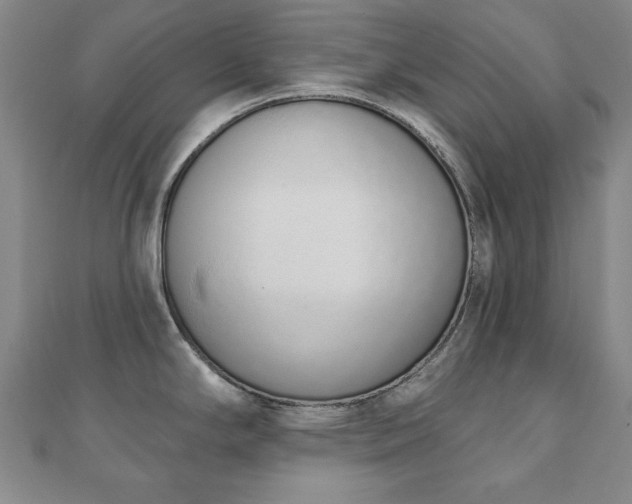 X0000110861294200906181134