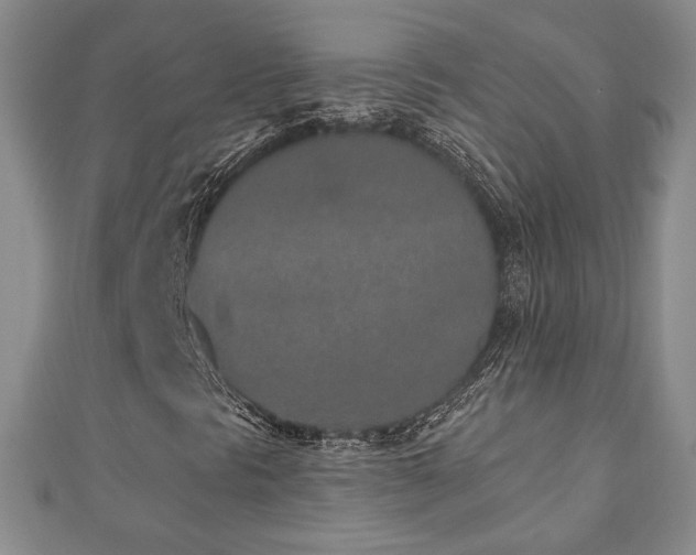 X0000110861297200906181133