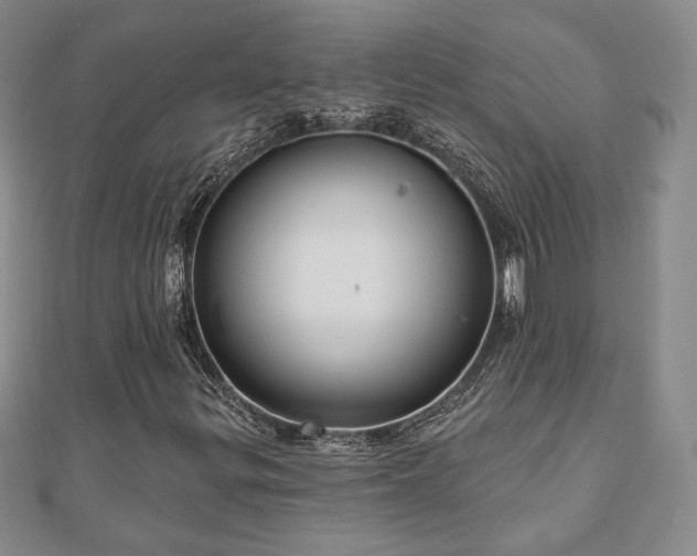 X0000110861299200906181133