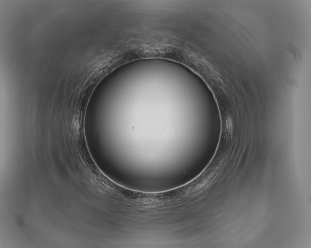 X0000110861300200906181133