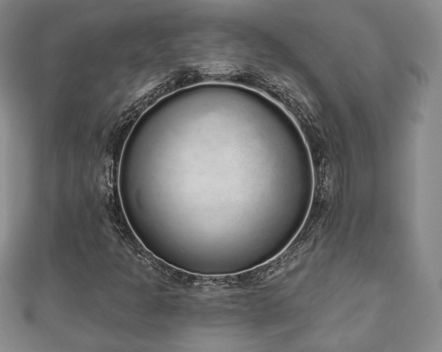 X0000110861301200906181133