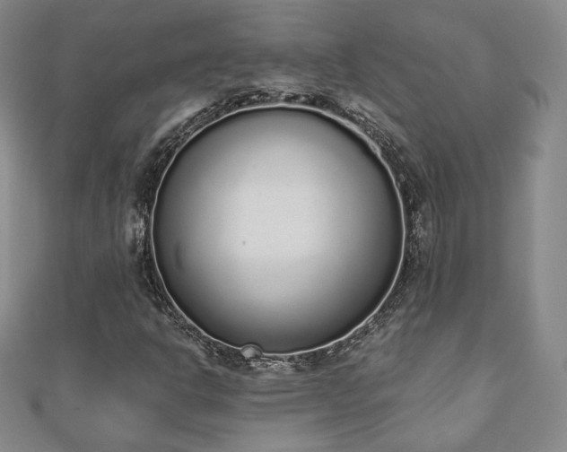 X0000110861302200906181133