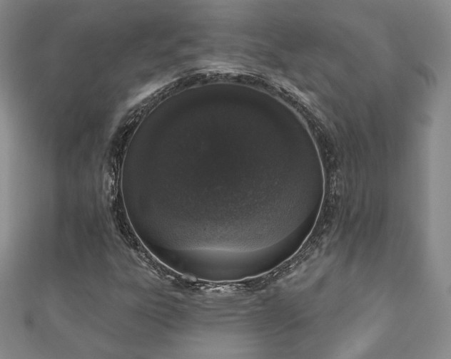 X0000110861303200906181133