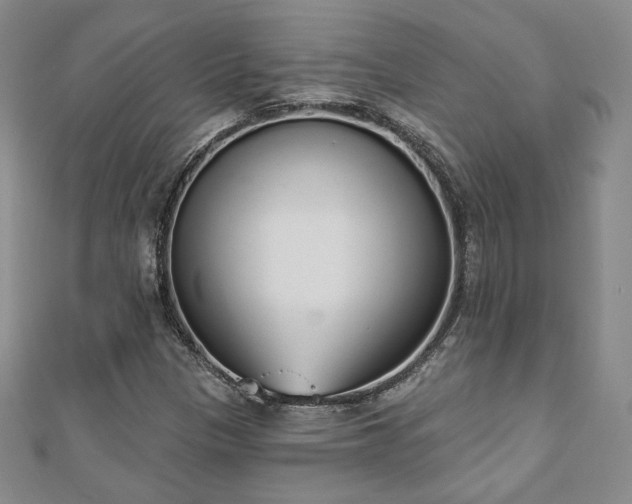 X0000110861305200906181133