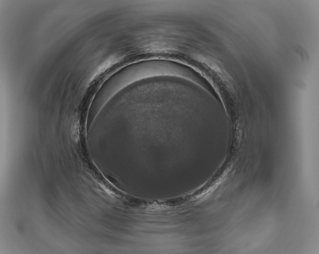 X0000110861306200906181133
