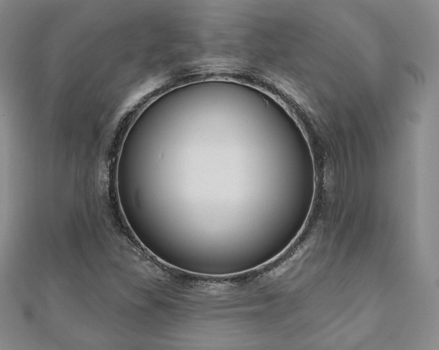X0000110861309200906181133