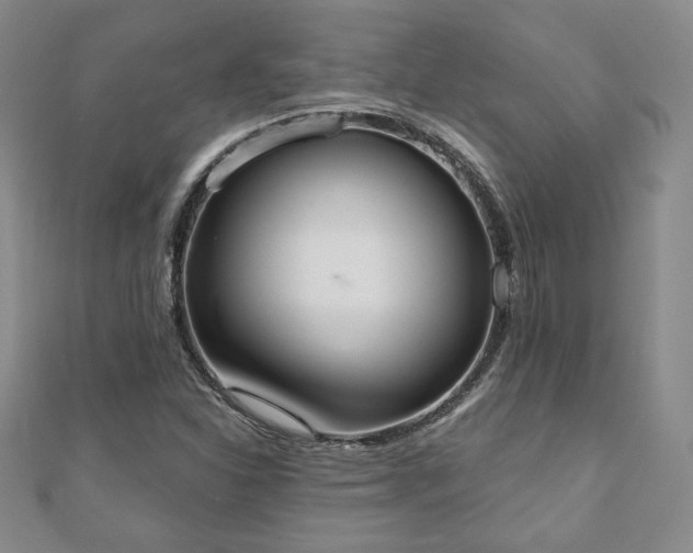 X0000110861310200906181133