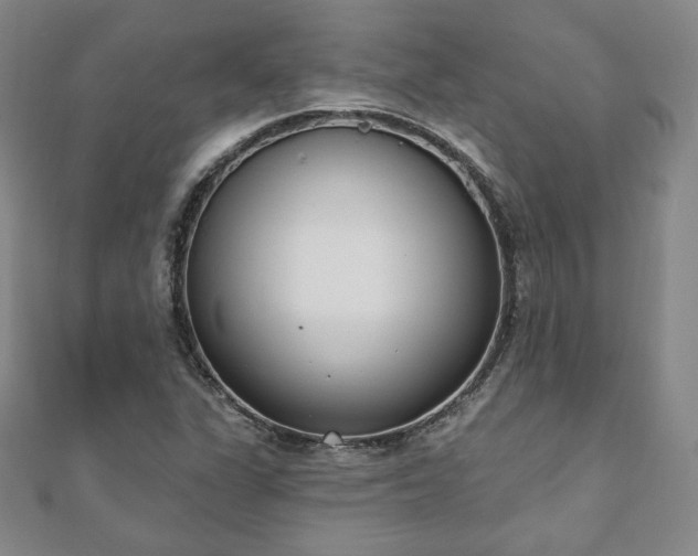 X0000110861311200906181133