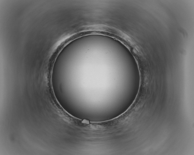 X0000110861312200906181133