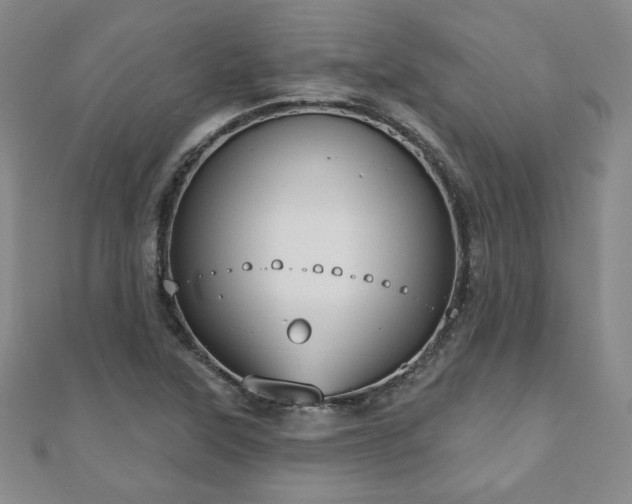 X0000110861315200906181133