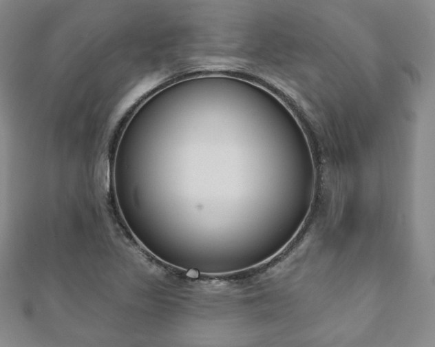 X0000110861317200906181133