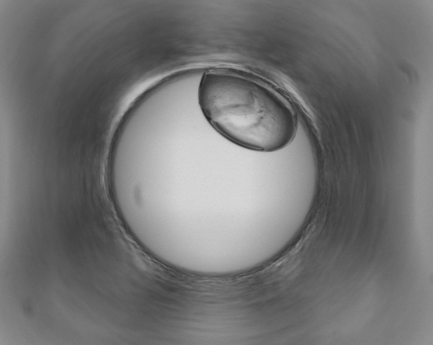 X0000110861320200906181133
