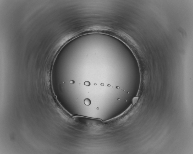 X0000110861321200906181133