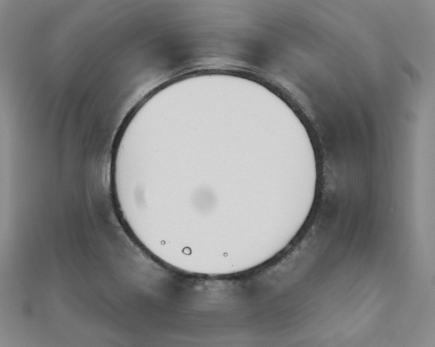 X0000110861322200906181133