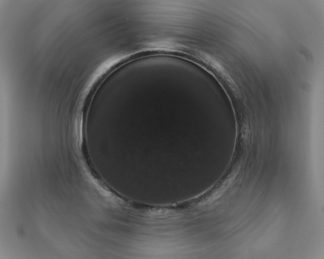 X0000110861323200906181133