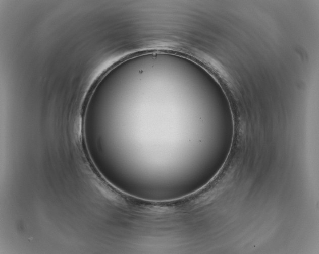X0000110861324200906181133