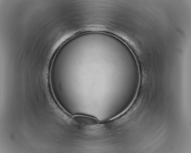 X0000110861325200906181133