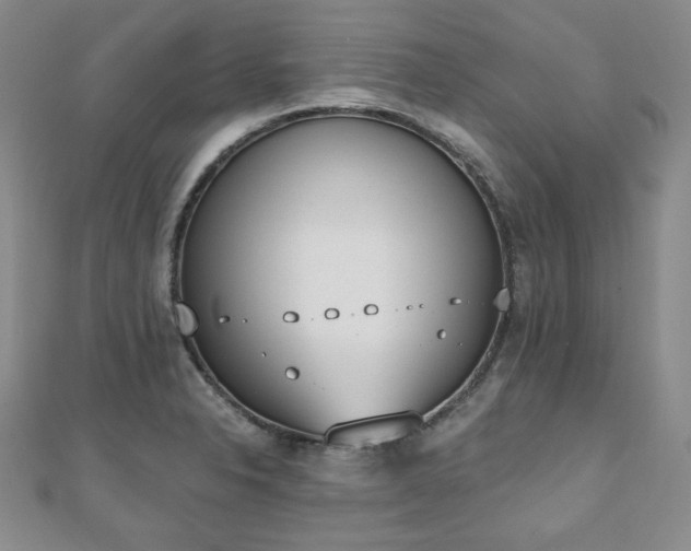 X0000110861326200906181133