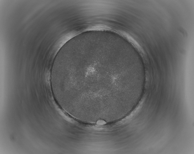 X0000110861329200906181133