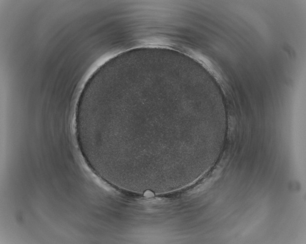 X0000110861331200906181133