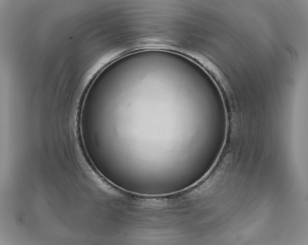X0000110861333200906181133