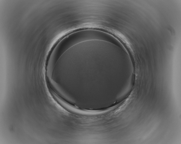 X0000110861334200906181133