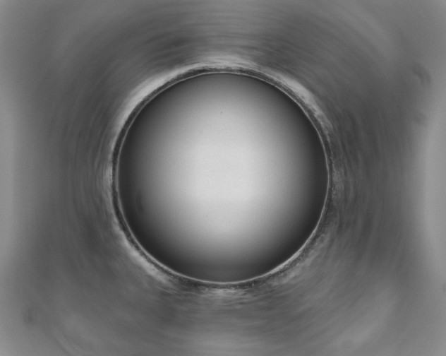 X0000110861335200906181133