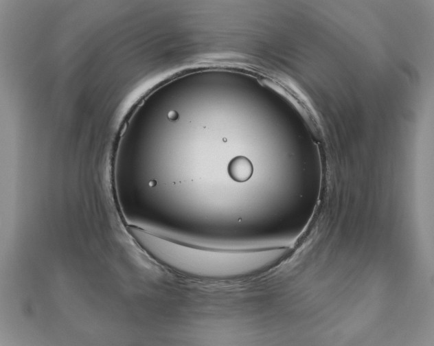 X0000110861336200906181133