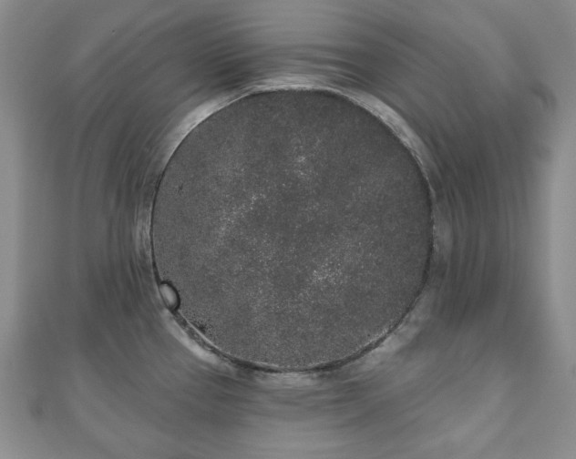 X0000110861337200906181133