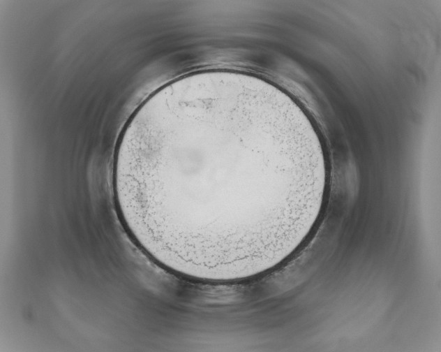 X0000110861338200906181133