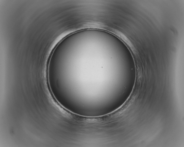 X0000110861339200906181133
