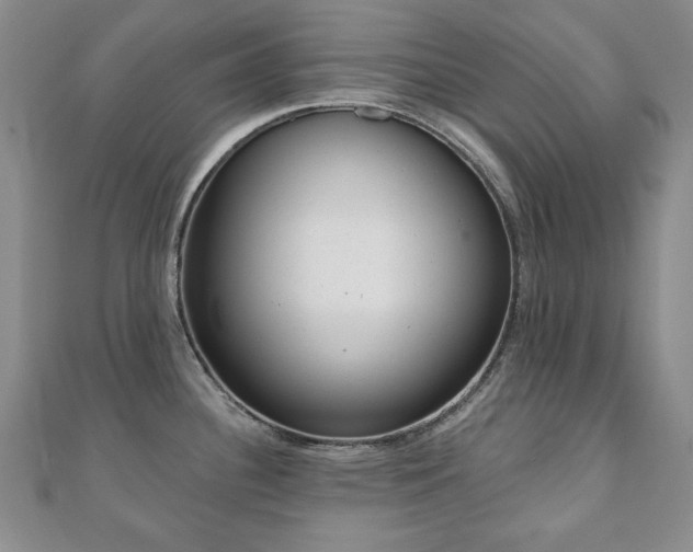 X0000110861340200906181133