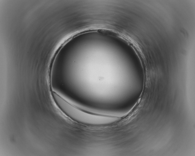 X0000110861342200906181133