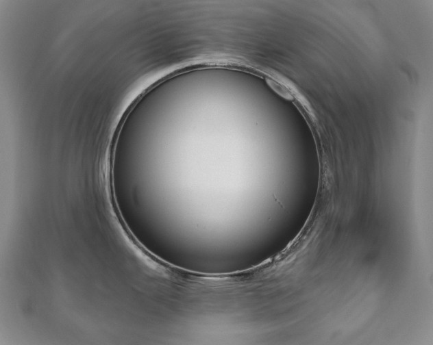 X0000110861343200906181133