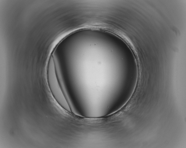X0000110861344200906181134