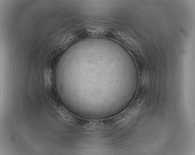 X0000110861346200906181133