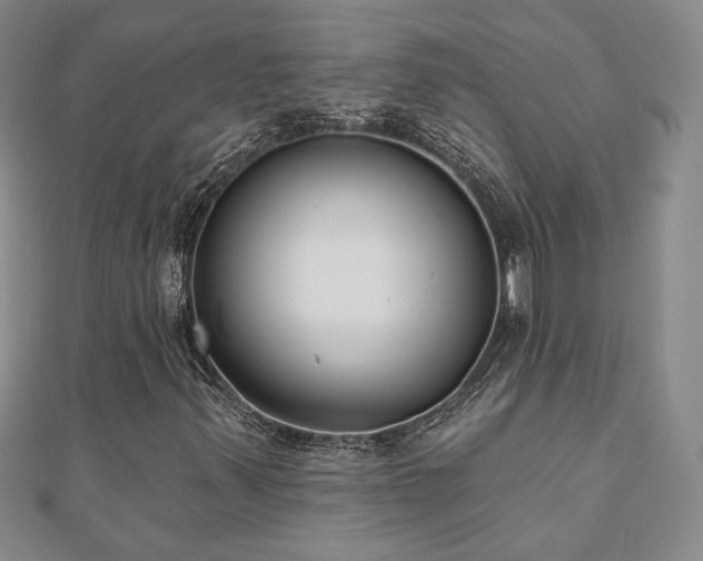 X0000110861347200906181133