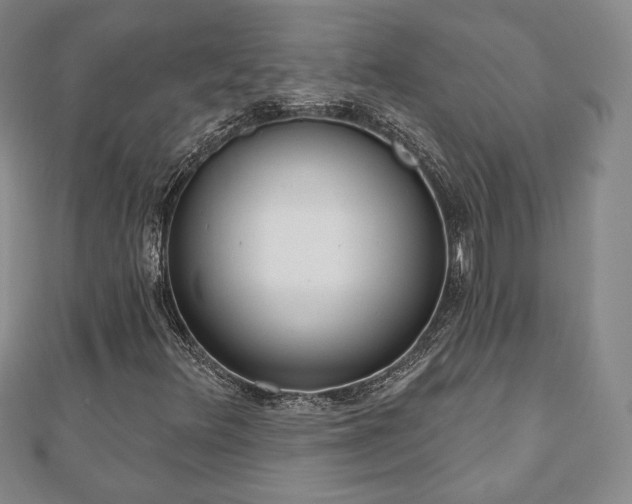 X0000110861348200906181133
