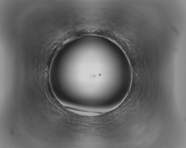 X0000110861349200906181133