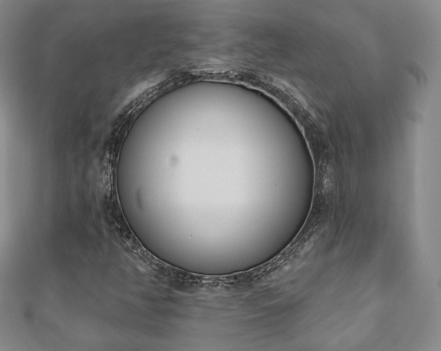 X0000110861350200906181133