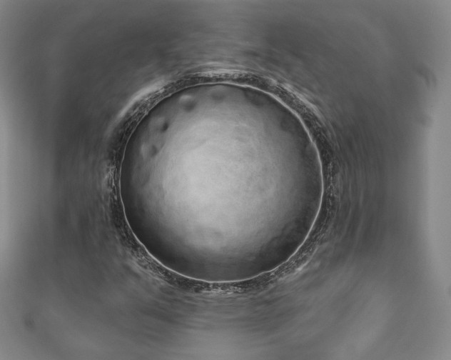 X0000110861351200906181133