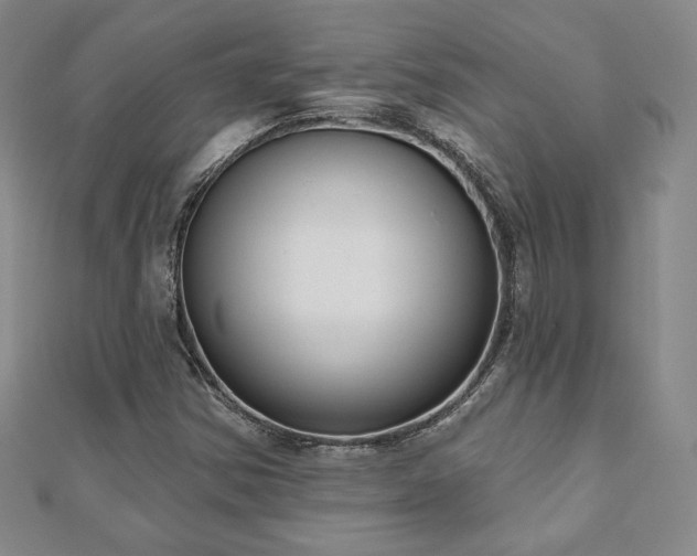 X0000110861354200906181133