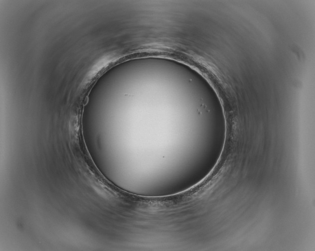 X0000110861355200906181133