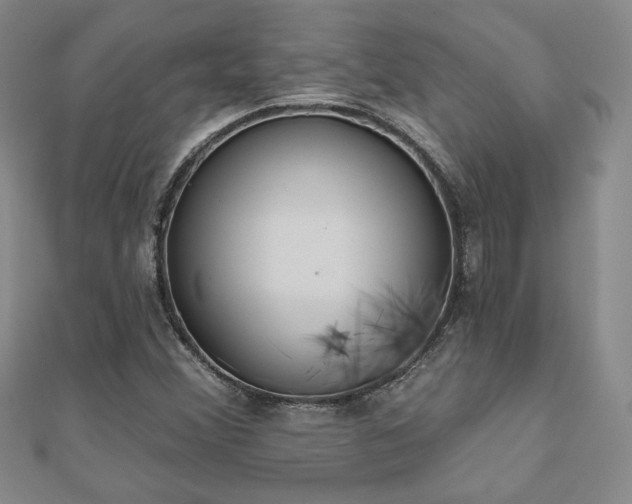 X0000110861356200906181133